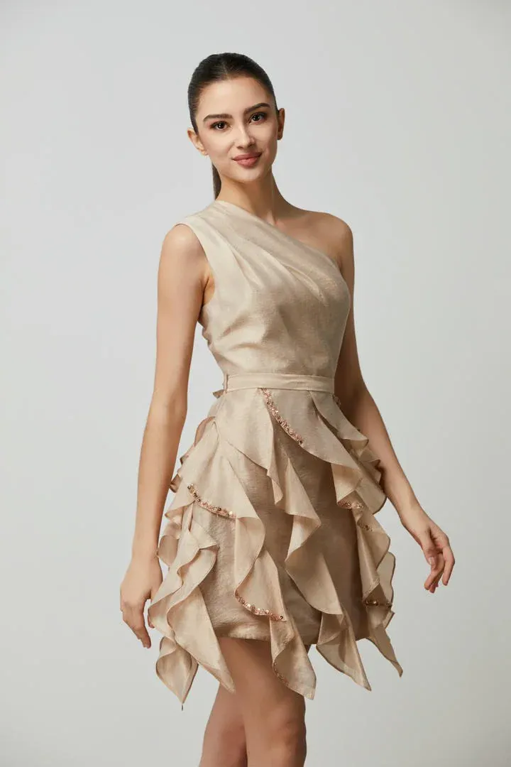 Tiered ruffles Dress - L